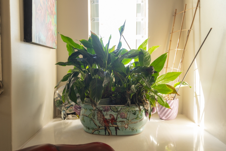 3 Bedroom Property for Sale in Blue Lagoon Western Cape